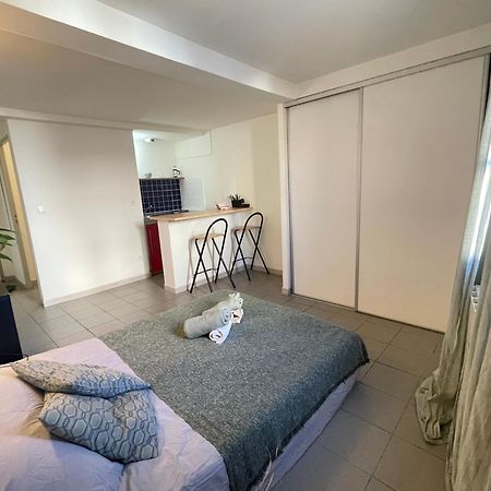 Studio Au Coeur De Montpellier Apartment Екстериор снимка